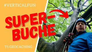 Eine Super-Buche die ich Dir zeigen möchte - T5 Geocaching #verticalfun