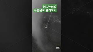 Dji Avata2 적응기 12일차 아바타를 구름위로 올려 본다면? 쫄리다.... #avata2 #아바타2 #fpvdrone #dji