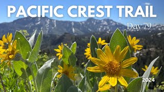 Pacific Crest Trail 2024 Day 79: Just missed Trail magic!!