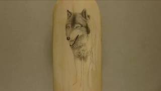 Scrimshaw Showing by Adams - Wolf