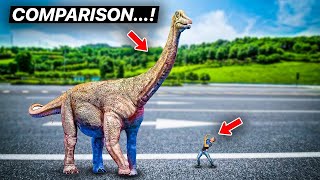 Dinosaur Size Comparison | How Big They Really Were? - Explained