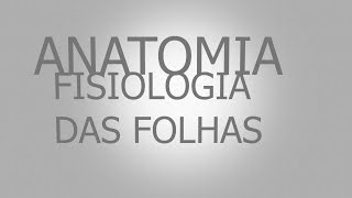 Anatomia e Fisiologia vegetal:  FOLHA