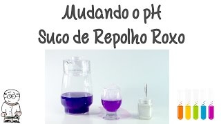 [ Experimento ] E009 Mudanças de Ph - Suco de repolho roxo