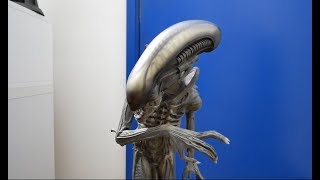 My Sideshow Alien Big Chap Statue