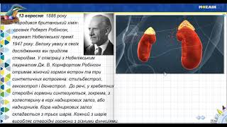 13 вересня. Роберт Робінсон. Наднирники