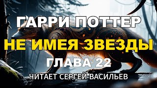 Не имея звезды - Глава 22 (аудиокнига Васильев С.)