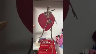 Human Skeleton Dance #funny #medicalstudent #subscribe #nursingwali #nurse