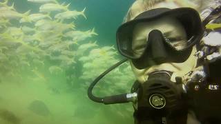 Discover Scuba Diving in Cabo