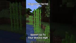 Did You Know This Minecraft Fact?