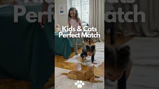 KIds & Cats Perfect Match #youtubeshorts #adorablecats