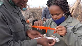 Women in Science Program, OTS South Africa 2020