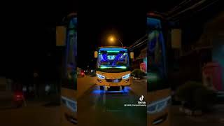 bus pariwisata terkeren