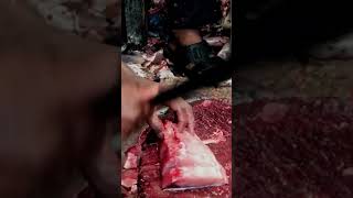 amazing giant super fresh big catla fish cutting skills video river katla fish cutting fish market