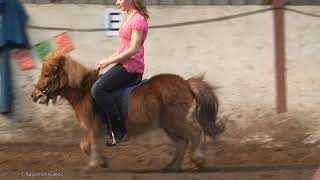 Pony Riding #pony #ponyriding #donkey #donkeyriding #Buffaloriding