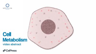 Excess pancreatic elastase in diabetes / Cell Metab., June 19, 2023 (Vol. 35, Issue 7)