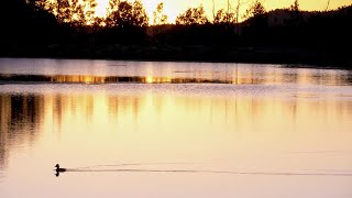 Lily Lake Sunrise