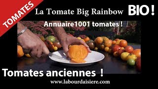 Tomate.5.Recette.Cuisine.Manger.Bio.Nature en fete.La big Rainbow.