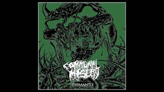 Communal Misery - DISMANTLE EP