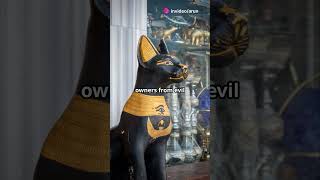 Why Ancient Egyptians Worshipped Cats