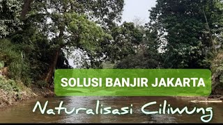 TMB Gintung : Fungsi Naturalisasi Sungai Sebagai Alokasi Tempat Parkir Air Solusi Banjir Jakarta