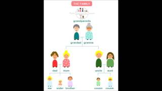 English vocabulary: the family