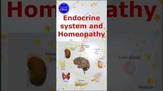 Endocrine system and Homeopathic treatment #shortsviral