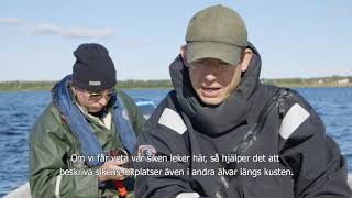 Kaikuluotaus siiantutkimuksessa - Side-scan sonar och sikforskningen