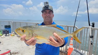 El mejor puente para pescar Bahia Honda