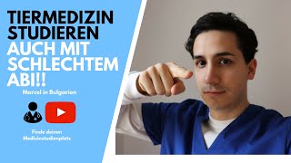 Tiermedizin studieren im Ausland auch mit schlechtem Abi und ohne teure Studiengebühren!