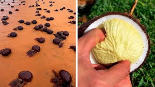 Satisfying & Relaxing Video №20