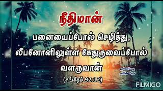 Bible verse|May 4|Christian whatsapp status|tamil Christian whatsapp status song