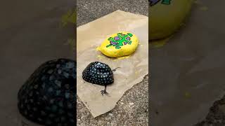 Painted Rocks (my wife painted some rocks from her garden)