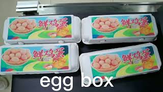 SinglePass Digital Color Inkjet printing machine (egg box)