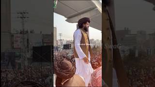 مسلکِ حق کی پہچان ہے سعد رضوی|#Hafiz Saad Rizvi Latest#viralshort #murshidswag