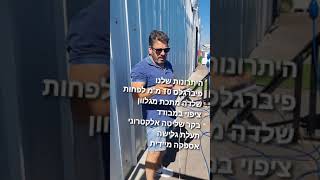 בריכת פיברגלס