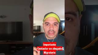 al entrar ilegal a usa contacte un abogado