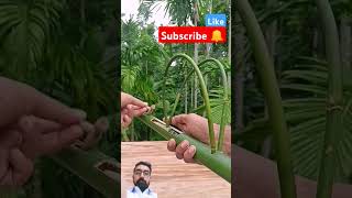 BAMBOO CREATION #SHORTVIDEO #YTSHORTS #VIRALSHORTS #TRENDING