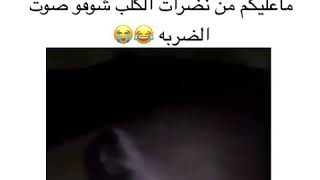 معليكم من نضرات الكلب شوفو صوت الضربه😂😂❤