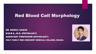 Red Blood Cell Morphology