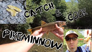 Pikeminnow Catch & Cook Russian River + Mystery Fish