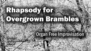 Rhapsody for Overgrown Brambles | ORGAN Free Improvisation