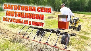 Заготовка сена мотоблоком. Все этапы за 5 минут. #деревня #сенокос