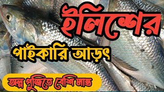 ইলিশের পাইকারি আড়ৎ🔴দেখুন ইলিশের দাম কত? 🔴Business idea 24