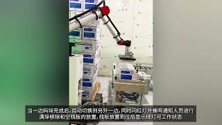 Collaborative Robot Palletizer Cell in Pharmaceutical, Injection in Case Box at End of Line