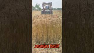 gundom ki katai kaise ki jaati hai/how to easy way cutting machine/gundam ki ktai shiro #tractor