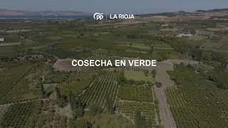 COSECHA EN VERDE 2024