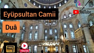 Deprem Bölgesindeki Kardeşlerimiz için Eyüp Sultan Camii'nde Dua edildi