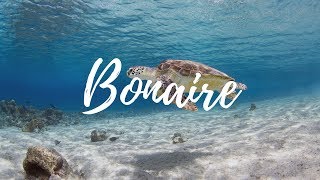 BONAIRE - Travel Guide | Around The World