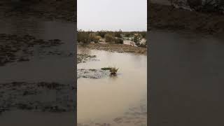 I Dug A Pond In Mojave Desert And It Filled Up