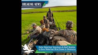 Delta Waterfowl Volunteers & Staff Mobilize to Save Waterfowl Blind Draws in Oklahoma 🤜 🤛 🦆